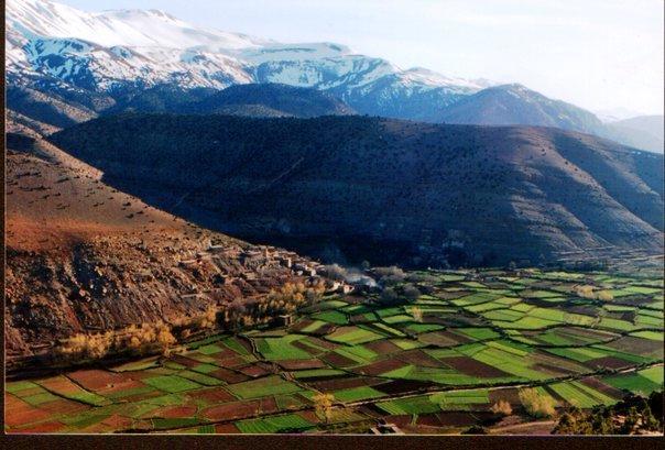 Riad La Fibule Berbere Tabant Buitenkant foto