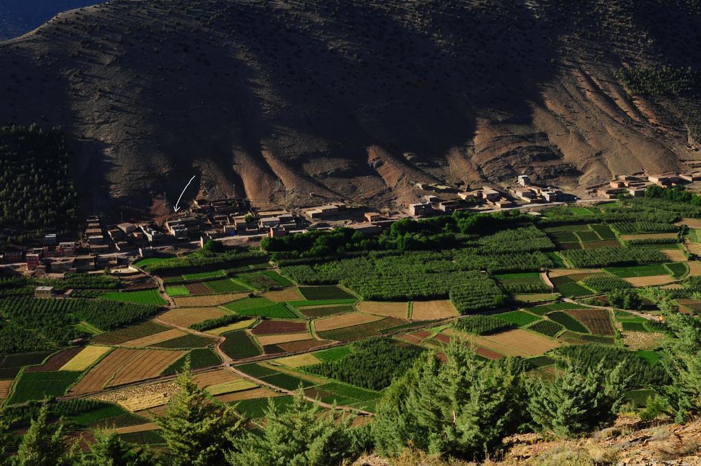 Riad La Fibule Berbere Tabant Buitenkant foto