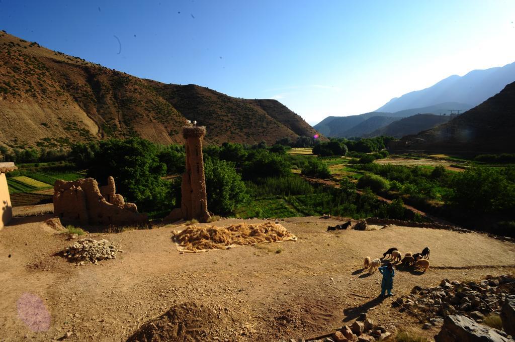 Riad La Fibule Berbere Tabant Buitenkant foto